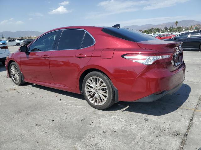 2020 TOYOTA CAMRY XLE - 4T1F11BK5LU011810