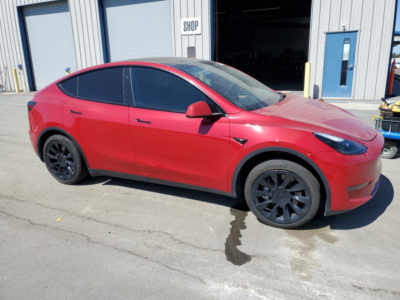 TESLA MODEL Y