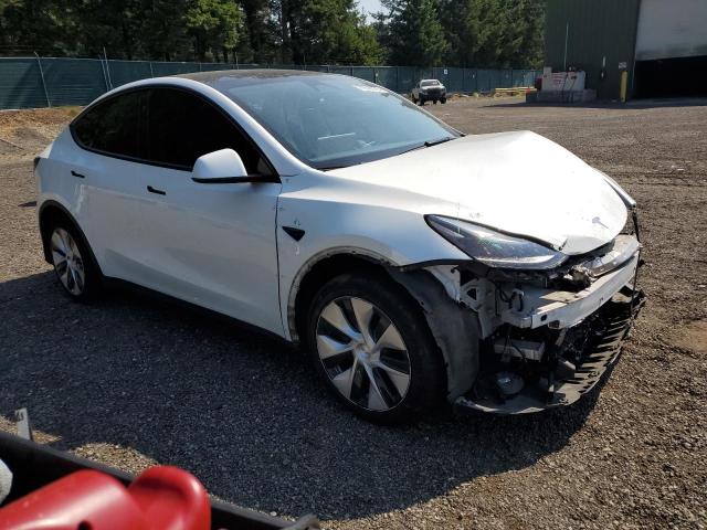 2023 TESLA MODEL Y 7SAYGDEE3PF811994