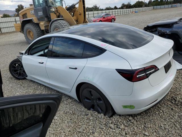 2023 TESLA MODEL 3 #3311762309