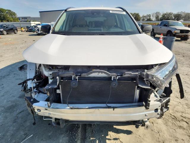 2019 TOYOTA RAV4 LE - 2T3H1RFV7KW049962