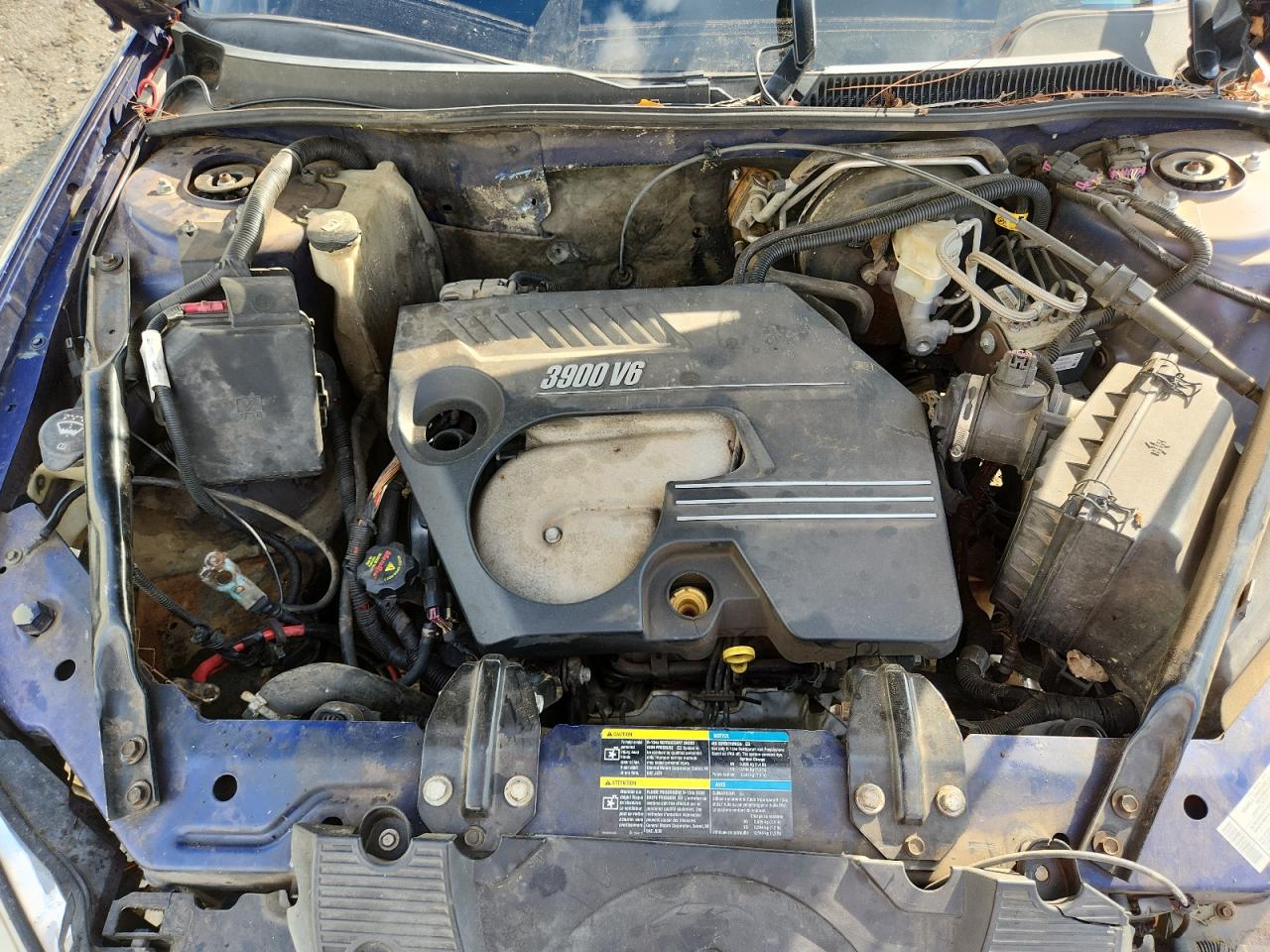 Lot #3292681590 2006 CHEVROLET MONTE CARL