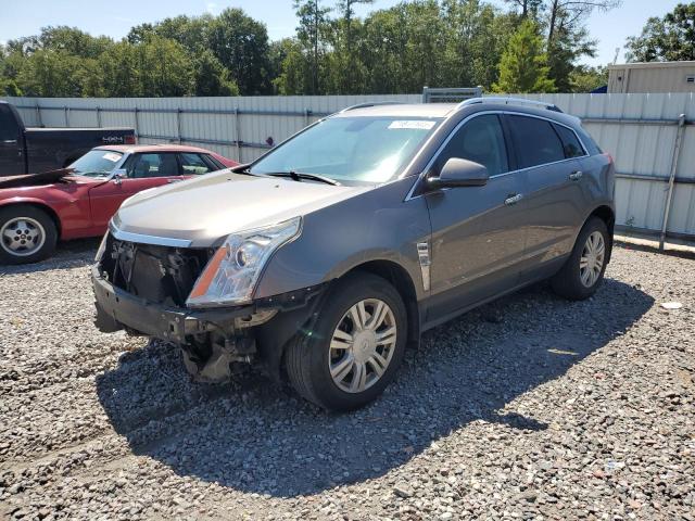 CADILLAC SRX LUXURY COLLECTION