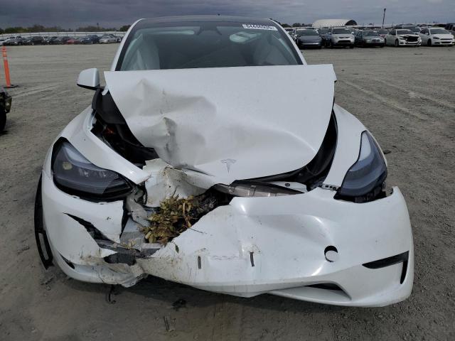 2025 TESLA MODEL Y 7SAYGDED8SF255343