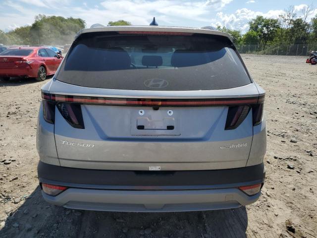 2025 HYUNDAI TUCSON LIM KM8JEDD13SU299149