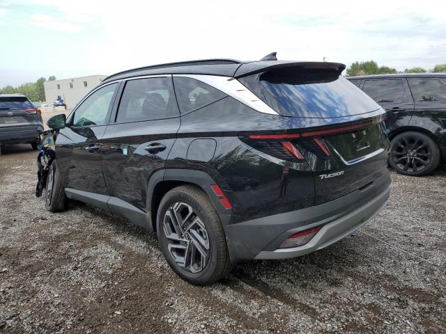 2025 HYUNDAI TUCSON SEL CONVENIENCE KM8JCDD18SU368259