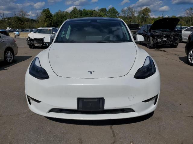 2023 TESLA MODEL Y #3304515561