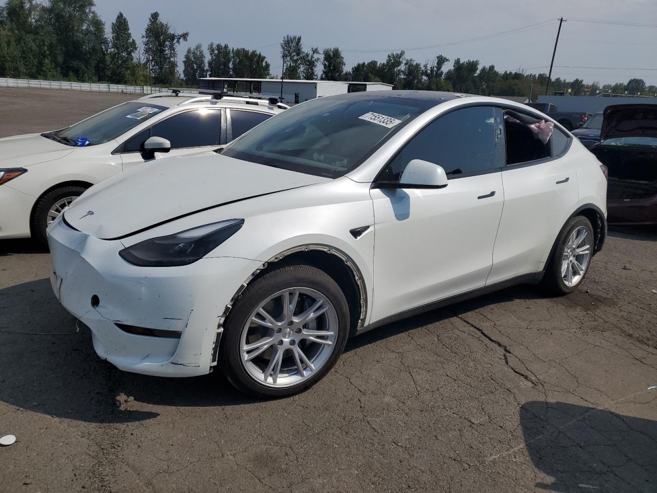 TESLA MODEL Y