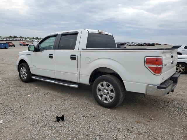 2013 FORD F150 SUPERCREW - 1FTFW1CT4DKG17612