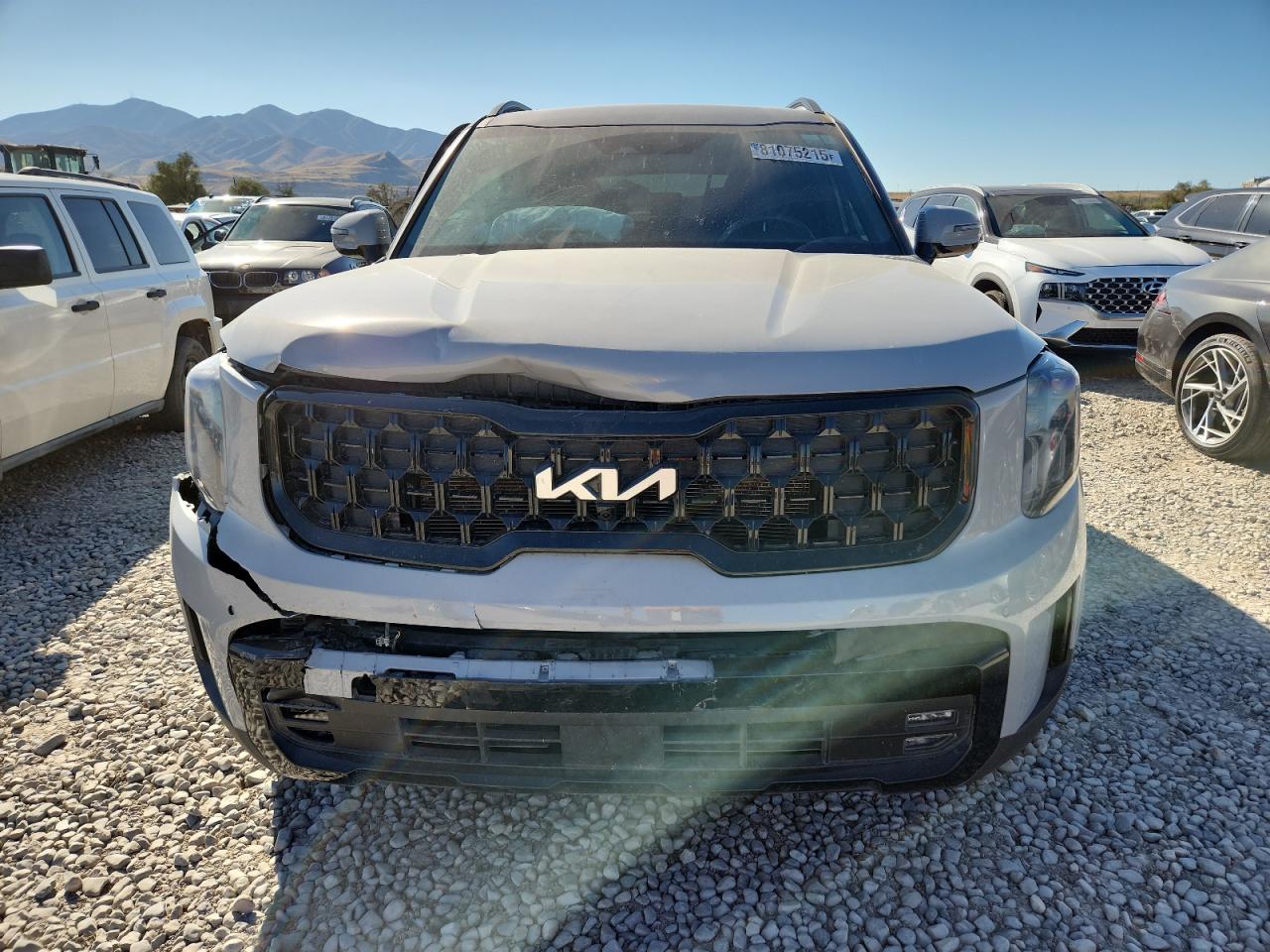 KIA TELLURIDE SX