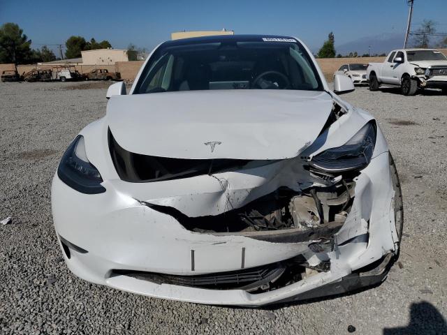 2023 TESLA MODEL Y - 7SAYGDEE0PA110021