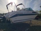 Lot #3297956785 1989 SEA RAY 250 SUNDANCE