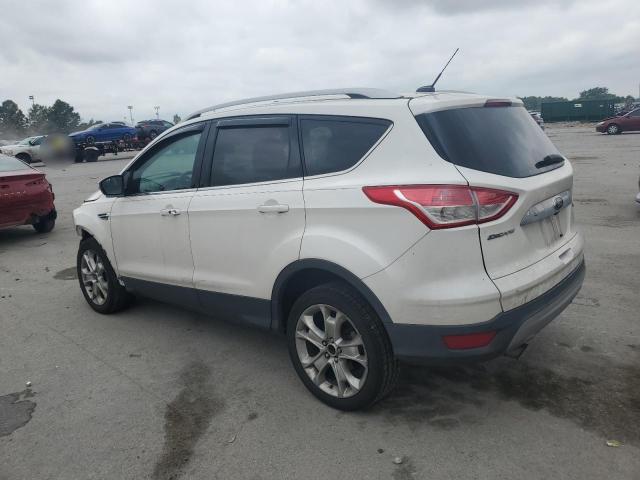 2014 FORD ESCAPE TIT - 1FMCU0J92EUD23962