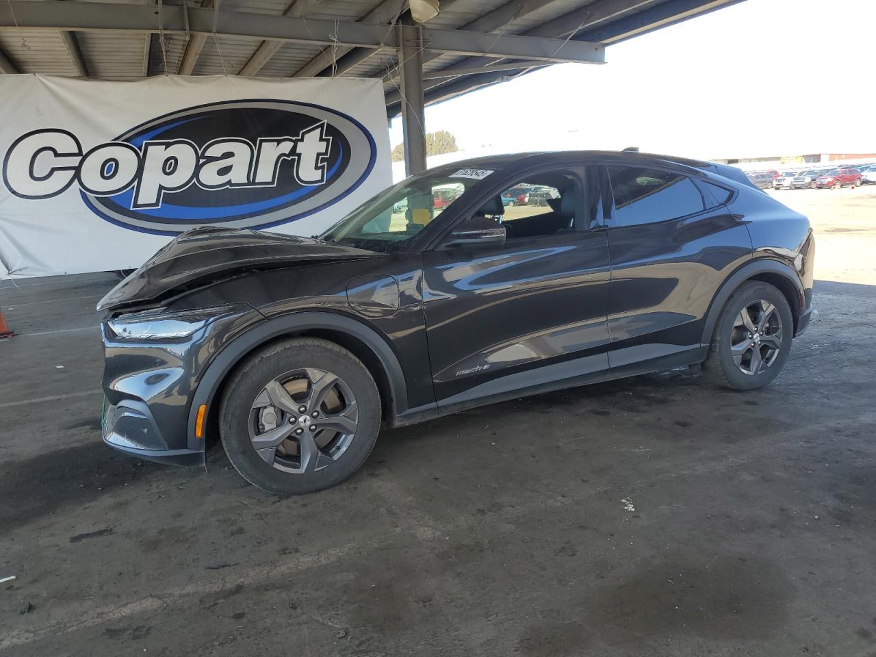 Lot #3246746887 2021 FORD MUSTANG MA