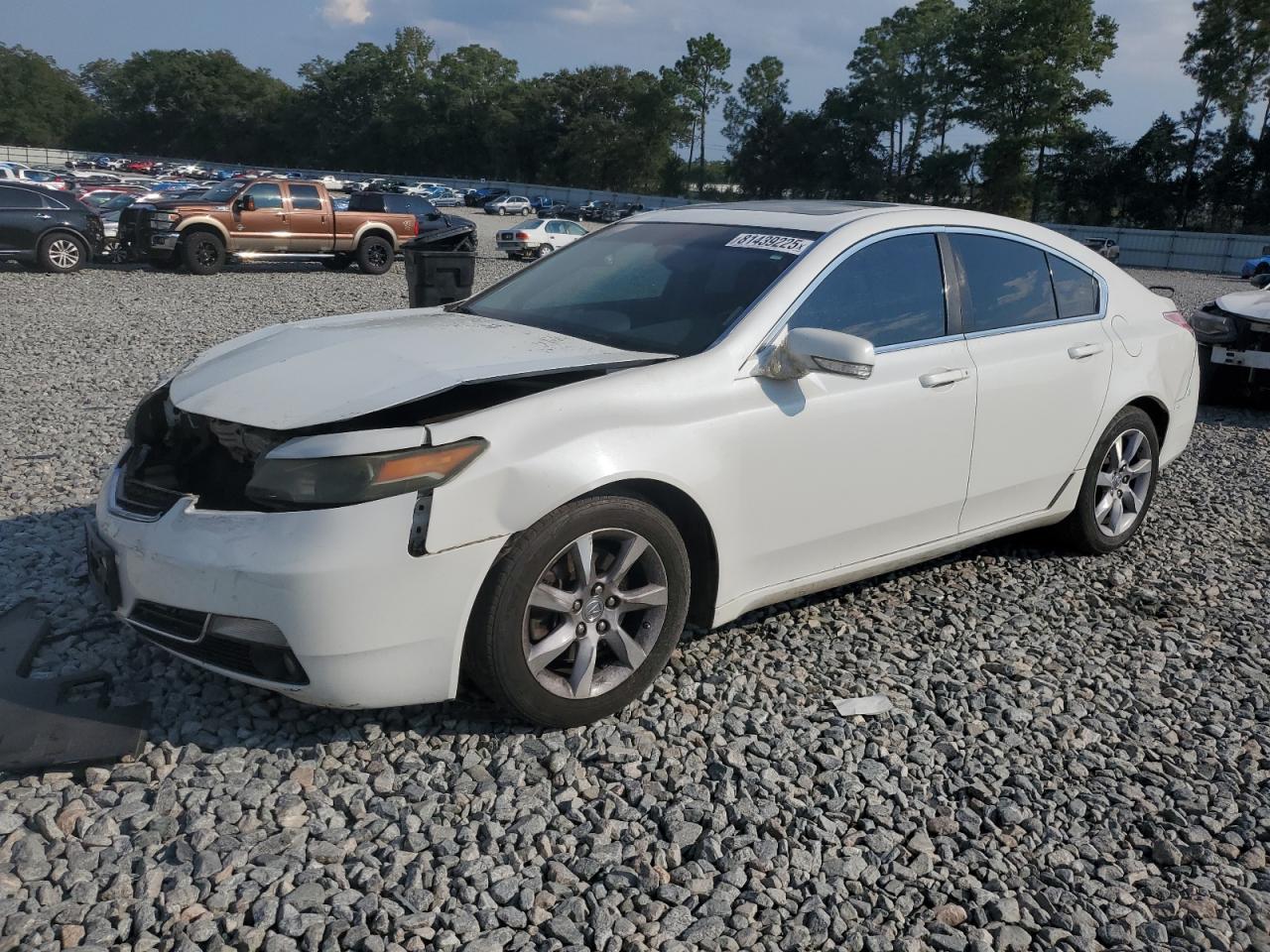 Lot #3301409393 2014 ACURA TL