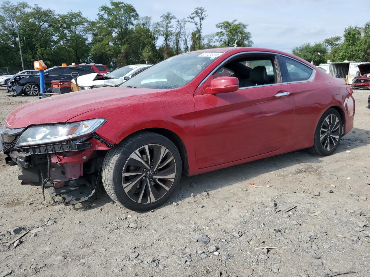HONDA ACCORD EXL