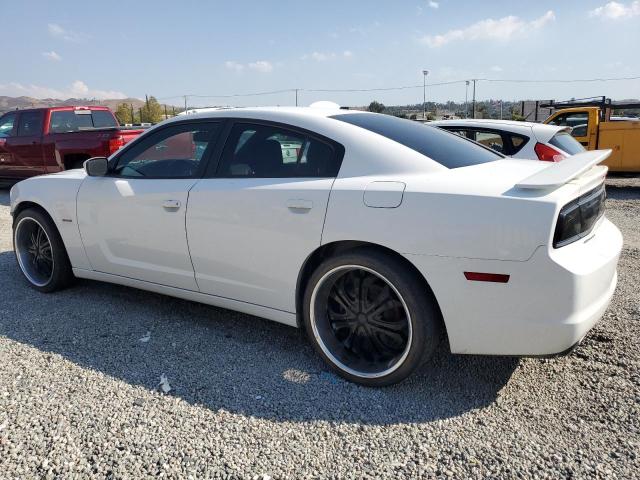 2011 DODGE CHARGER R/ - 2B3CL5CT1BH558639