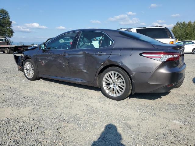 2020 TOYOTA CAMRY XLE 4T1F31AK4LU529256