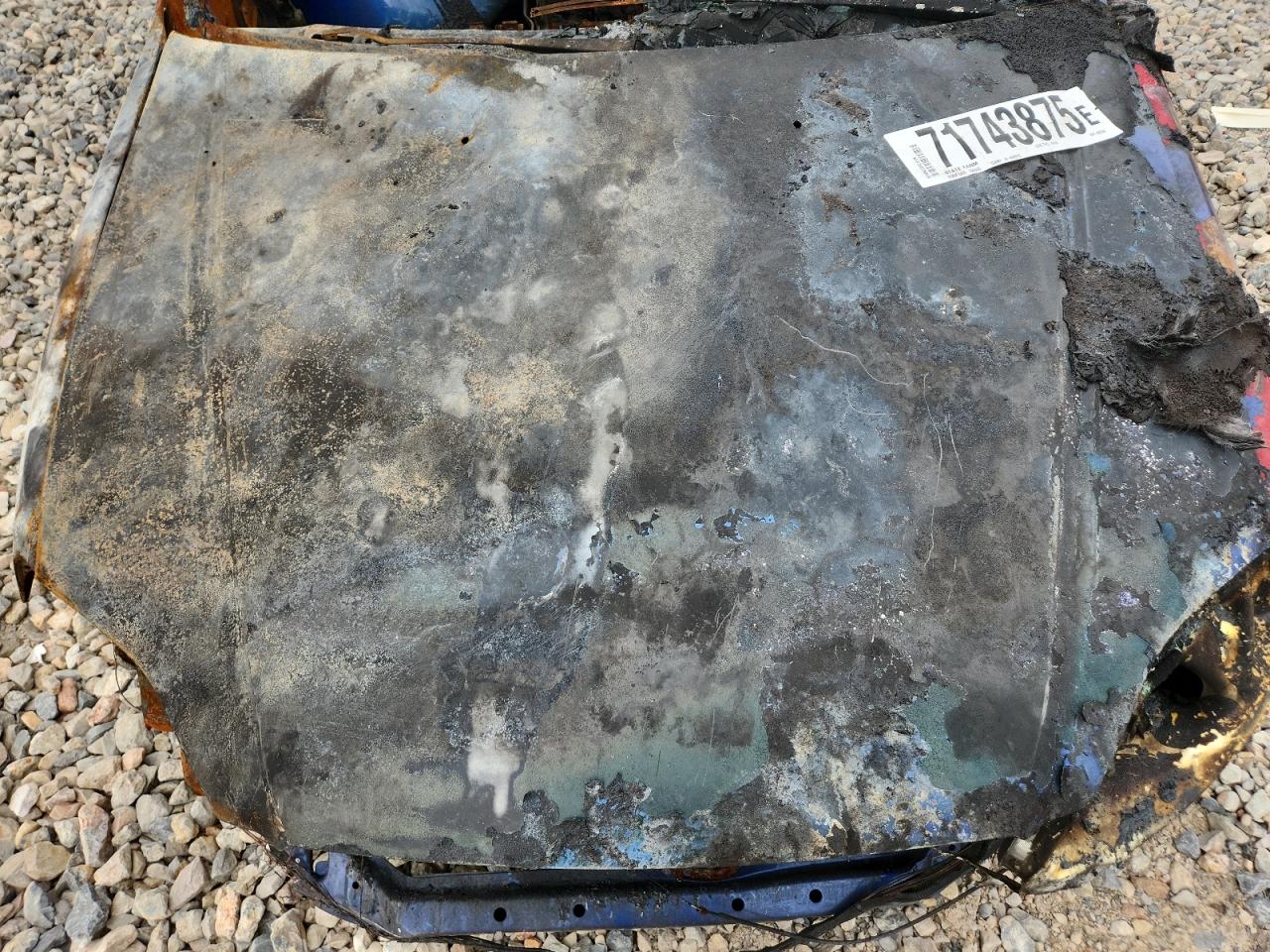 Lot #3237012259 2000 HONDA CIVIC SI