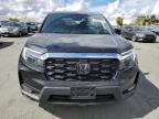 Lot #3303924722 2024 HONDA PASSPORT E