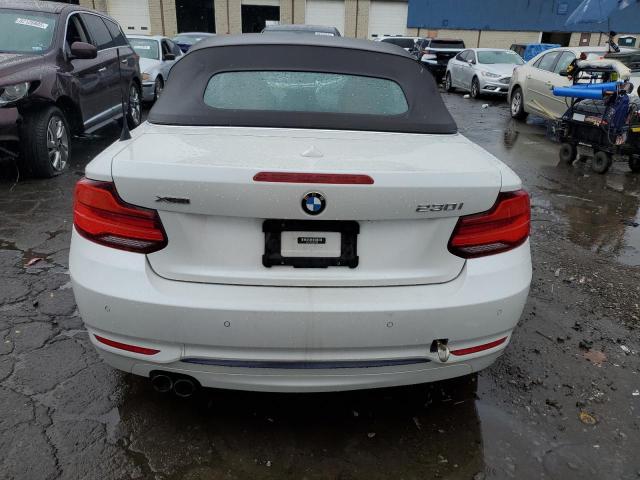 2018 BMW 230XI WBA2K1C52JVD41260