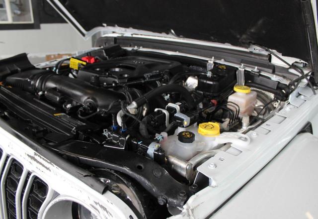 2025 JEEP WRANGLER SAHARA 1C4PJXEN1SW606478