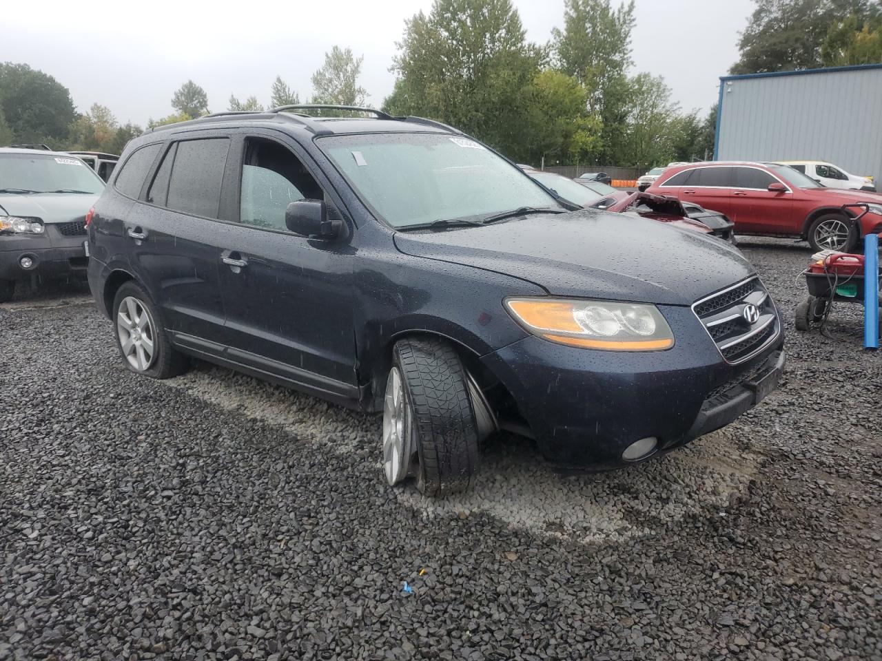 Lot #3290180207 2009 HYUNDAI SANTA FE S
