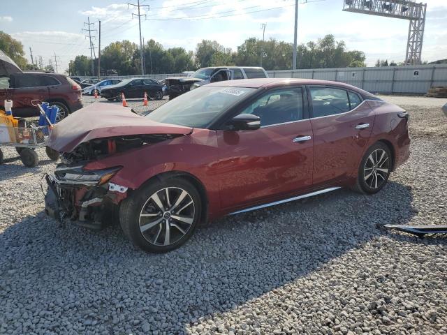 2023 NISSAN MAXIMA SV 1N4AA6CV7PC513899