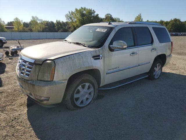 2007 CADILLAC ESCALADE L #3291295469