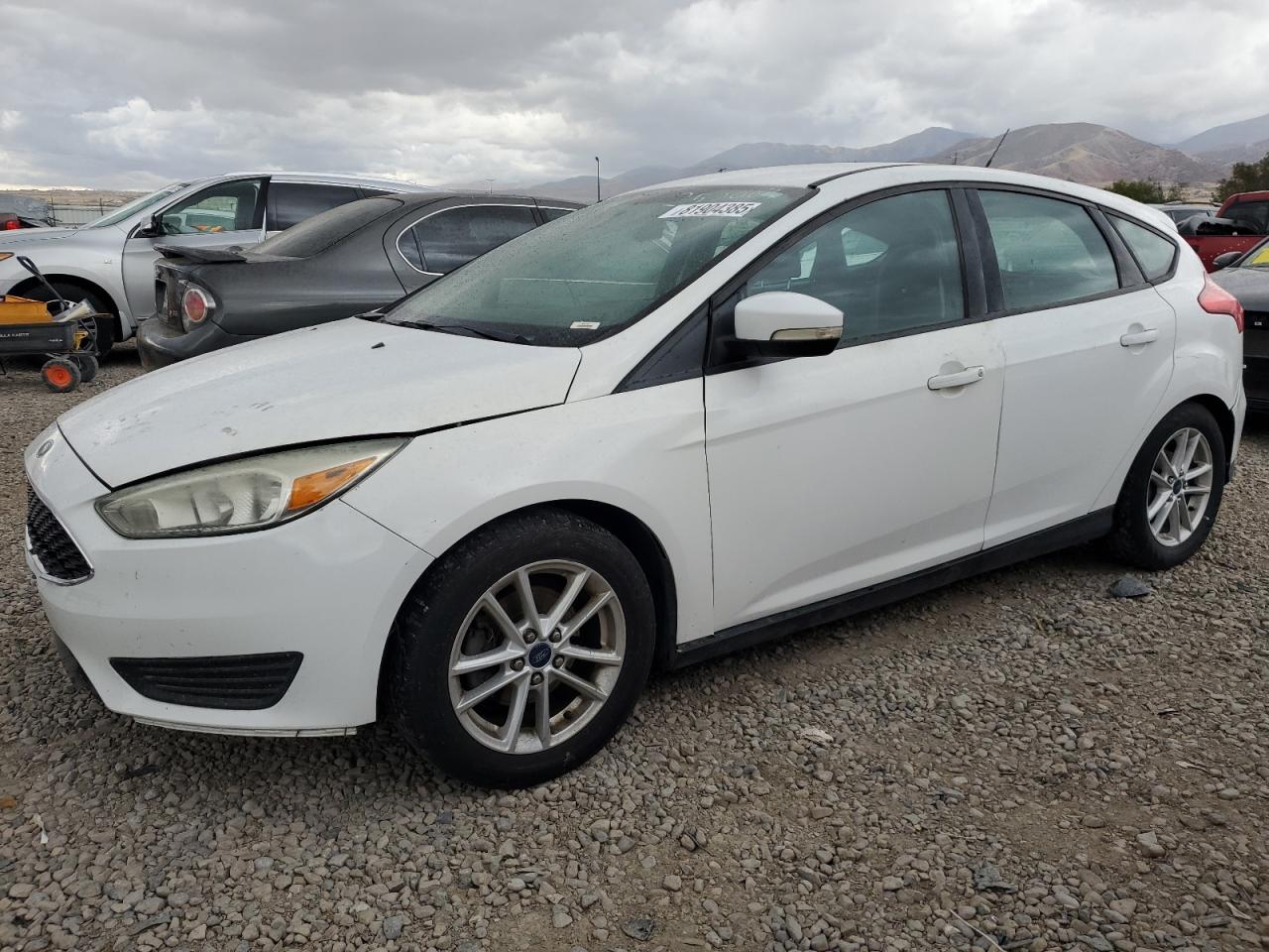 Lot #3305741759 2015 FORD FOCUS SE