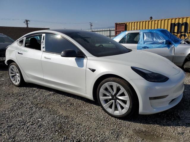 2023 TESLA 3 - 5YJ3E1EA4PF567555