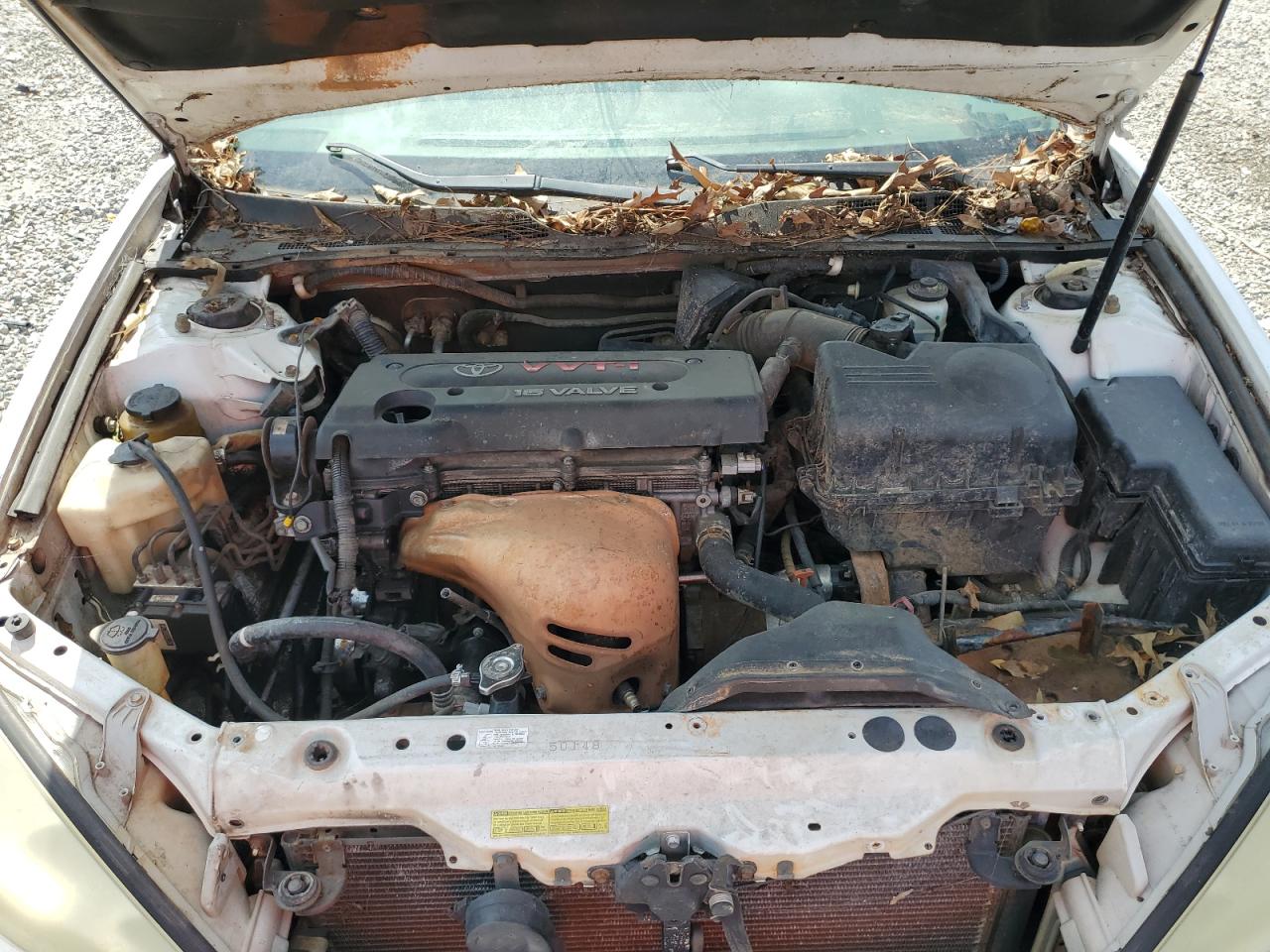 Lot #3245339877 2005 TOYOTA CAMRY LE