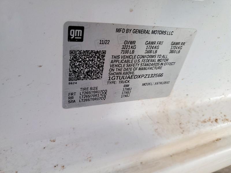 2023 GMC SIERRA K15 1GTUUAEDXPZ132566