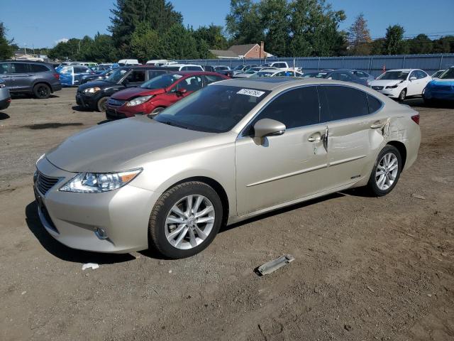 LEXUS ES 300H