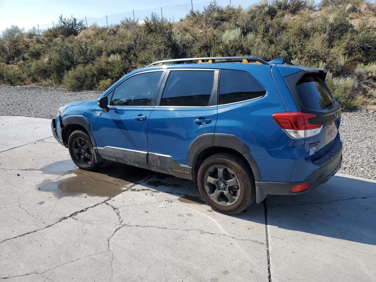 SUBARU FORESTER WILDERNESS
