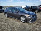 Lot #3303556032 2023 TOYOTA CAMRY LE