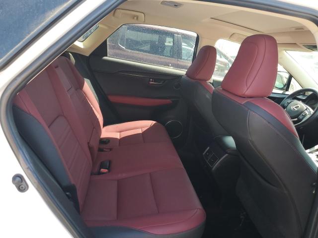 2020 LEXUS NX 300 - JTJDARBZ2L5000794