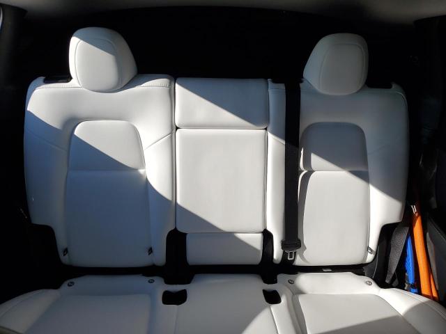 2025 TESLA MODEL Y 7SAYGDEF3SF302313