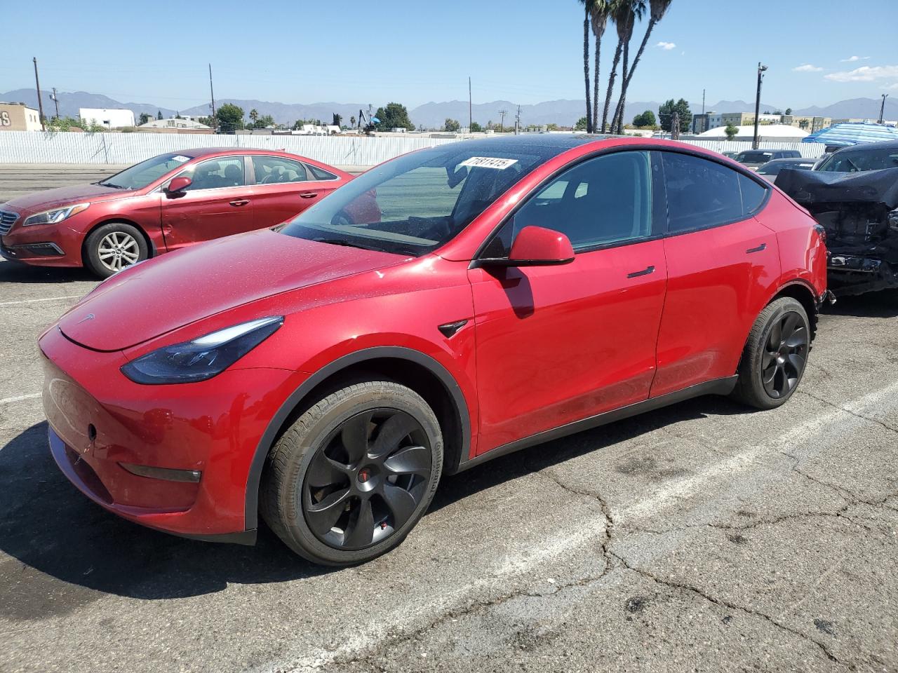 TESLA MODEL Y