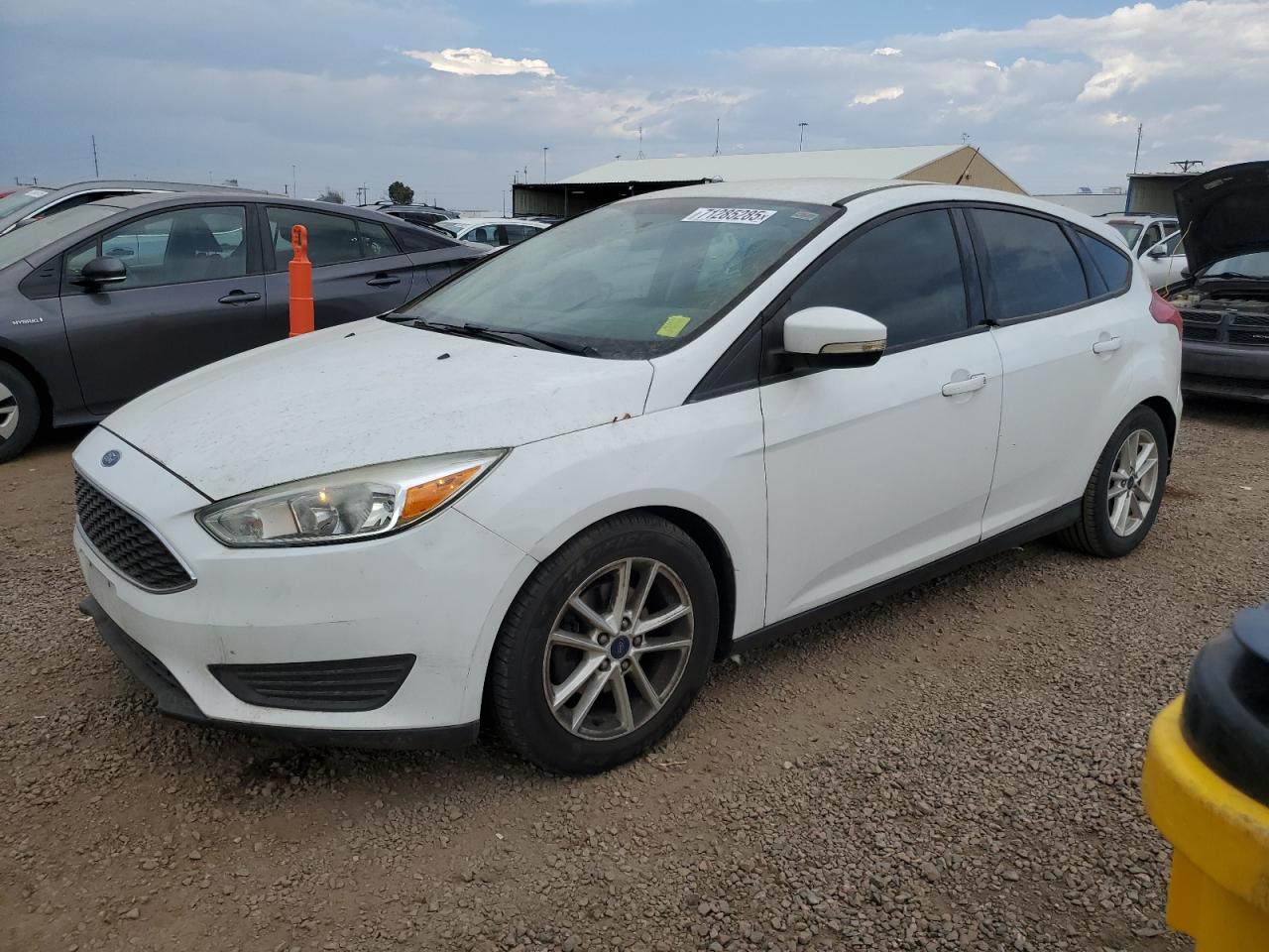 Lot #3311500239 2016 FORD FOCUS SE