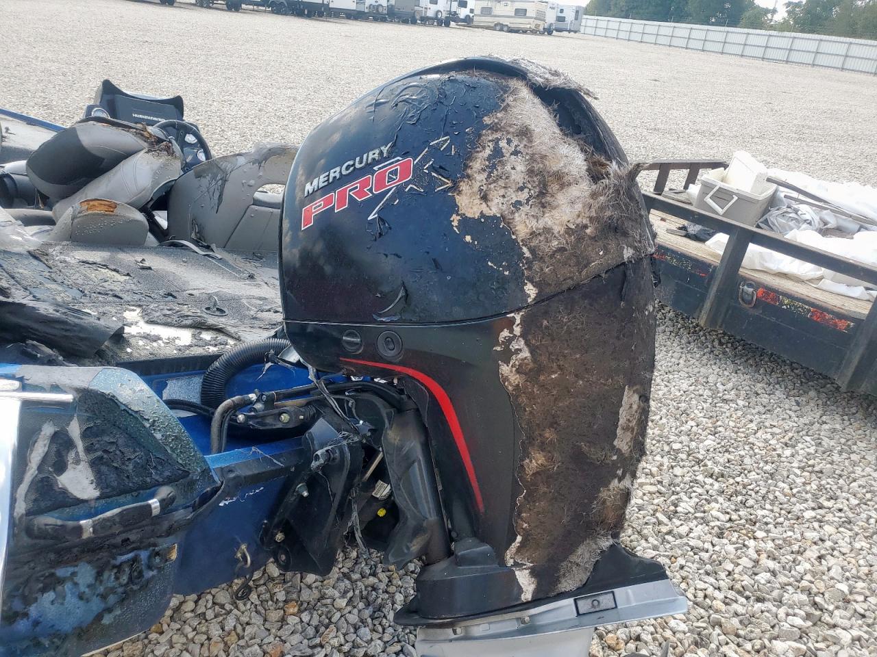 Lot #3268269021 2019 NITRO NITRO Z18