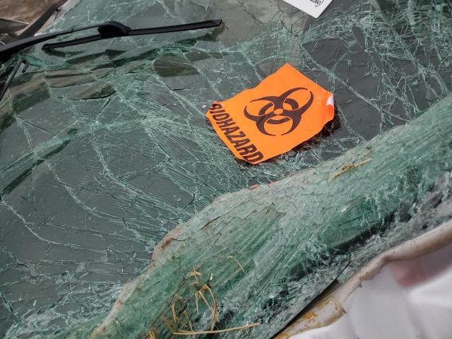 2012 HONDA CIVIC LX #3284238250