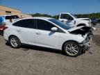 Lot #3292325285 2017 FORD FOCUS SE