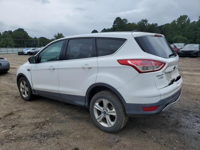 2014 FORD ESCAPE SE - 1FMCU0GXXEUE41344