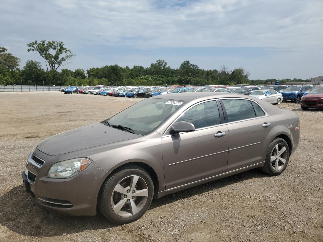 CHEVROLET MALIBU 1LT