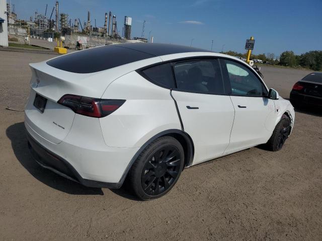 2021 TESLA MODEL Y - 5YJYGDEE5MF195188