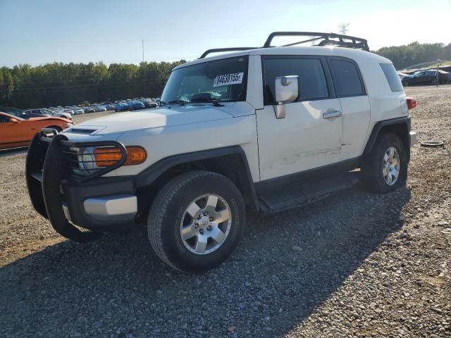 Global Auto Auctions: 2010 TOYOTA FJ CRUISER