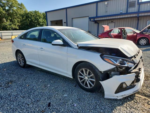2019 HYUNDAI SONATA SE - 5NPE24AF7KH743545