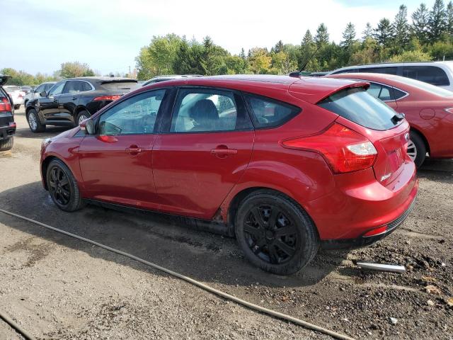 2014 FORD FOCUS SE - 1FADP3K2XEL249947