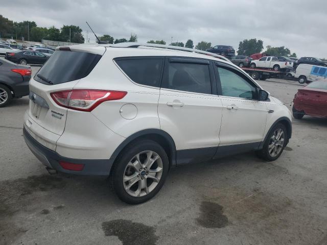 2014 FORD ESCAPE TIT - 1FMCU0J92EUD23962